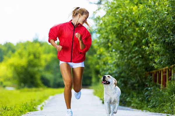 Hundetrainingsangebote