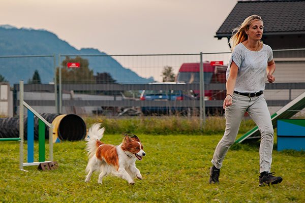 Agility Hundesport in Kuchl & Salzburg Umgebung