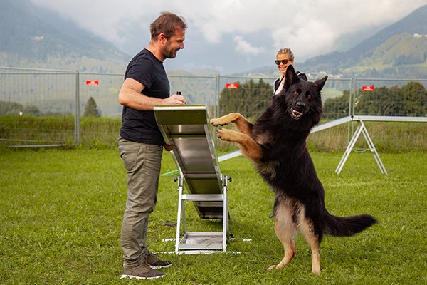 Problemhundetraining in Kuchl & Salzburg Umgebung 2