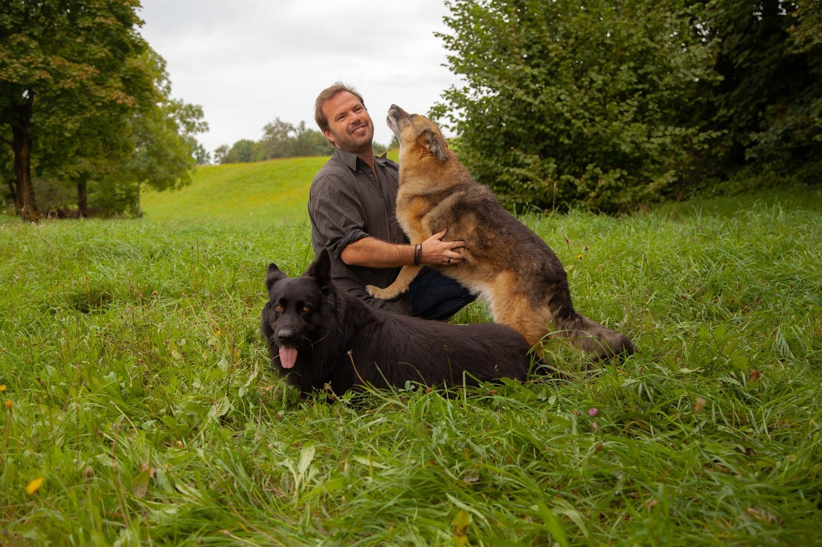 Heinz mit 2 Hunden
